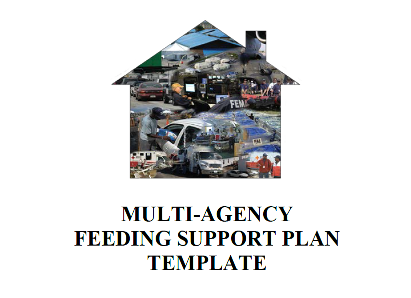 muti-agency feeding support plan template